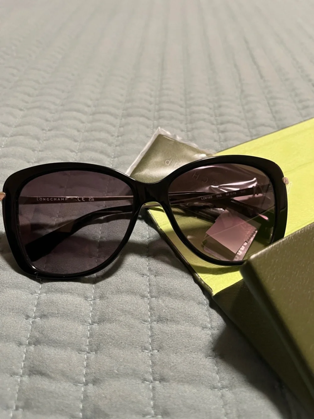 New Longchamp Women's Gradient Oversized Sunglasses